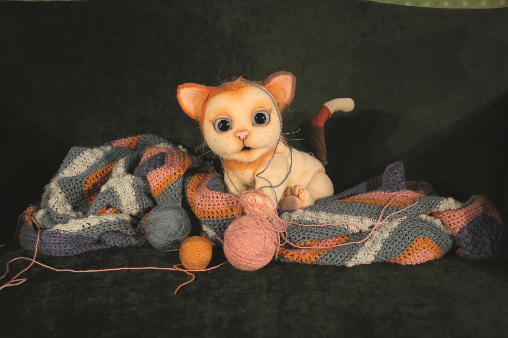 Mimi, le petit minou